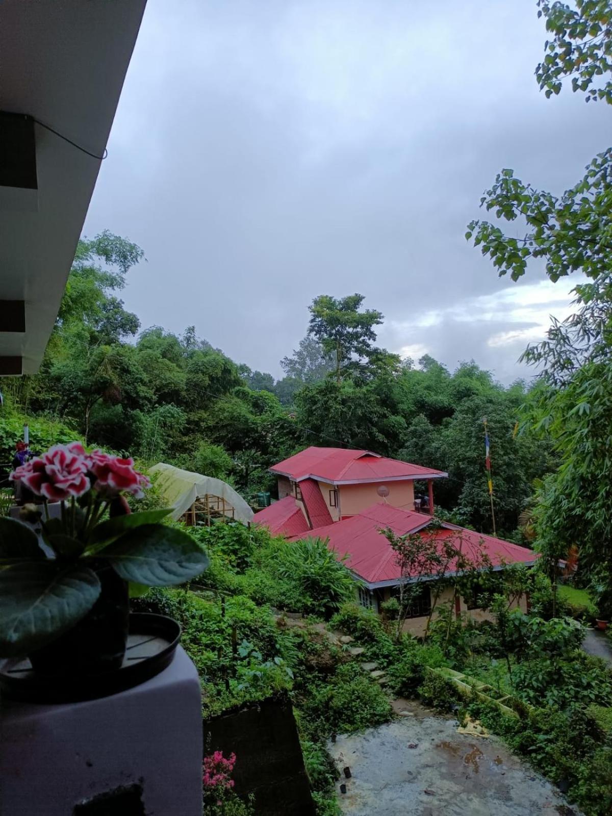Tenam Garden Homestay カリンポン エクステリア 写真