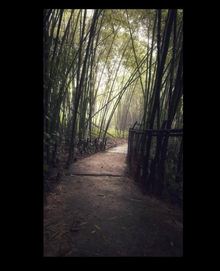 Tenam Garden Homestay カリンポン エクステリア 写真
